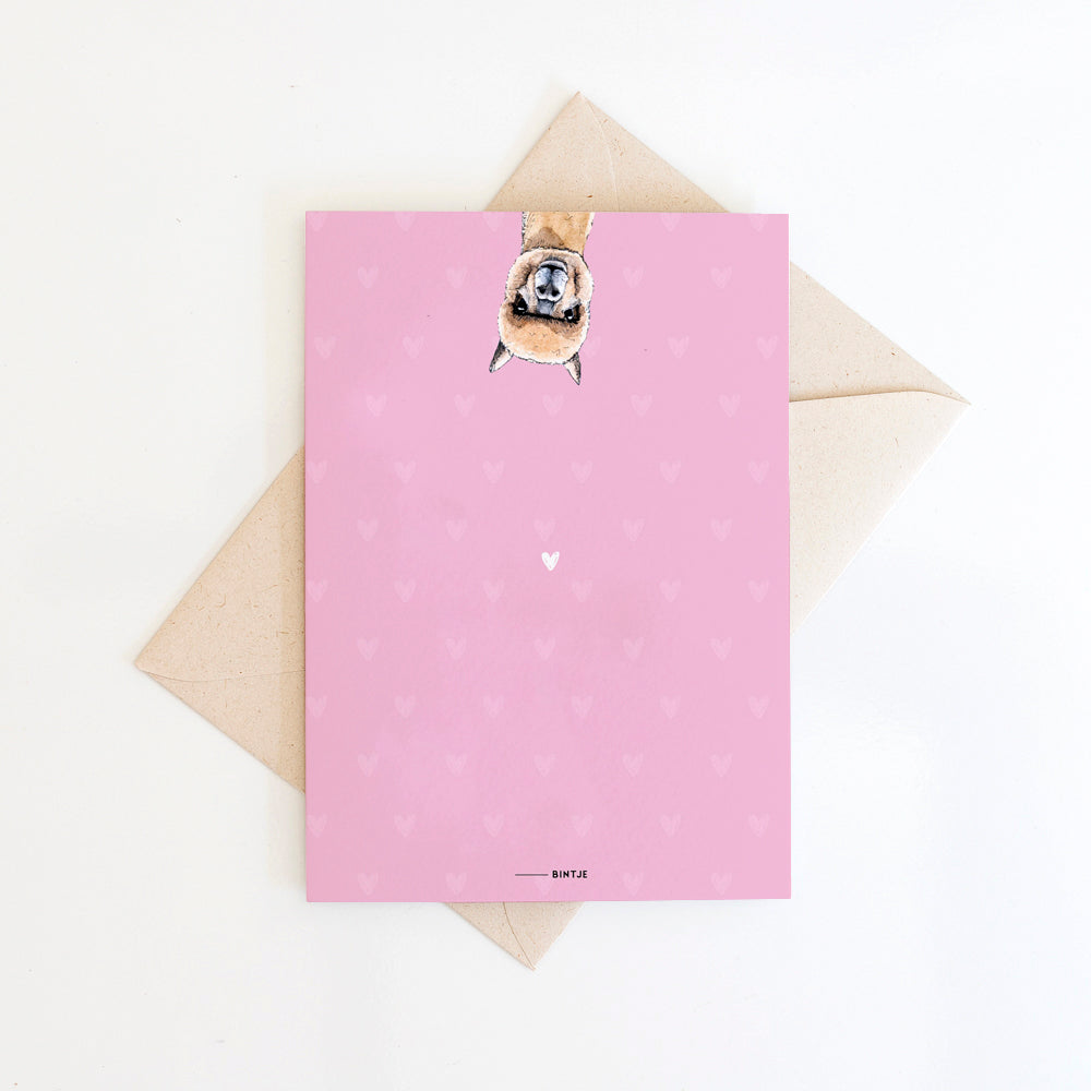 Dubbele kaart Joehoe alpaca