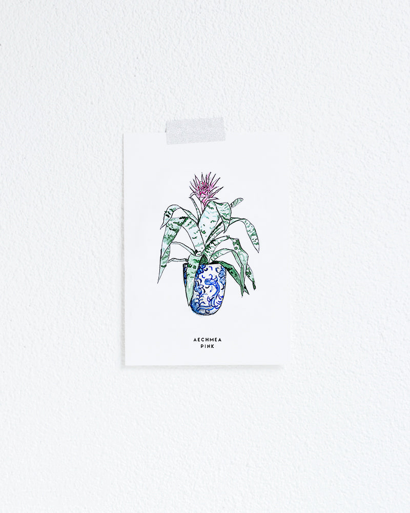 Kaart Plant Achmea Pink