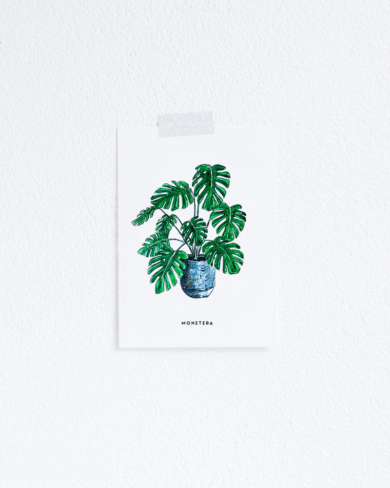 Kaart Plant Monstera