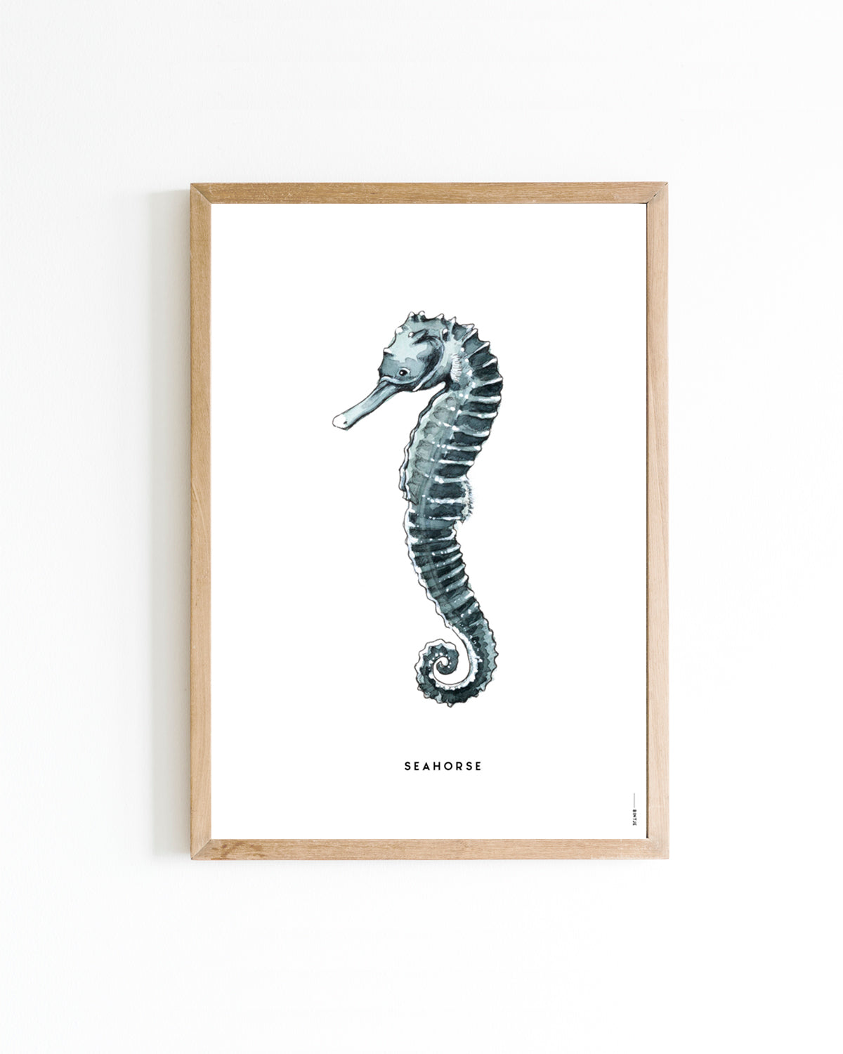 Poster Zeepaardje 15x20cm