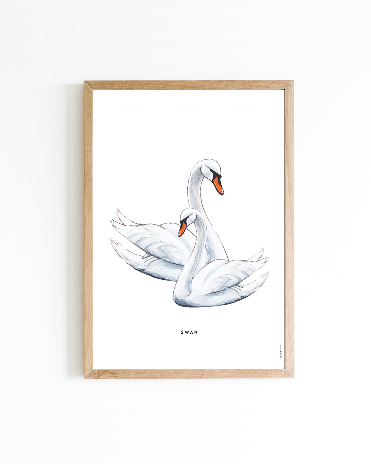 Poster Zwaan 15x20cm
