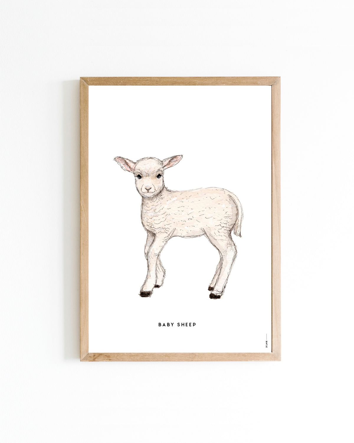 Poster Lammetje A4