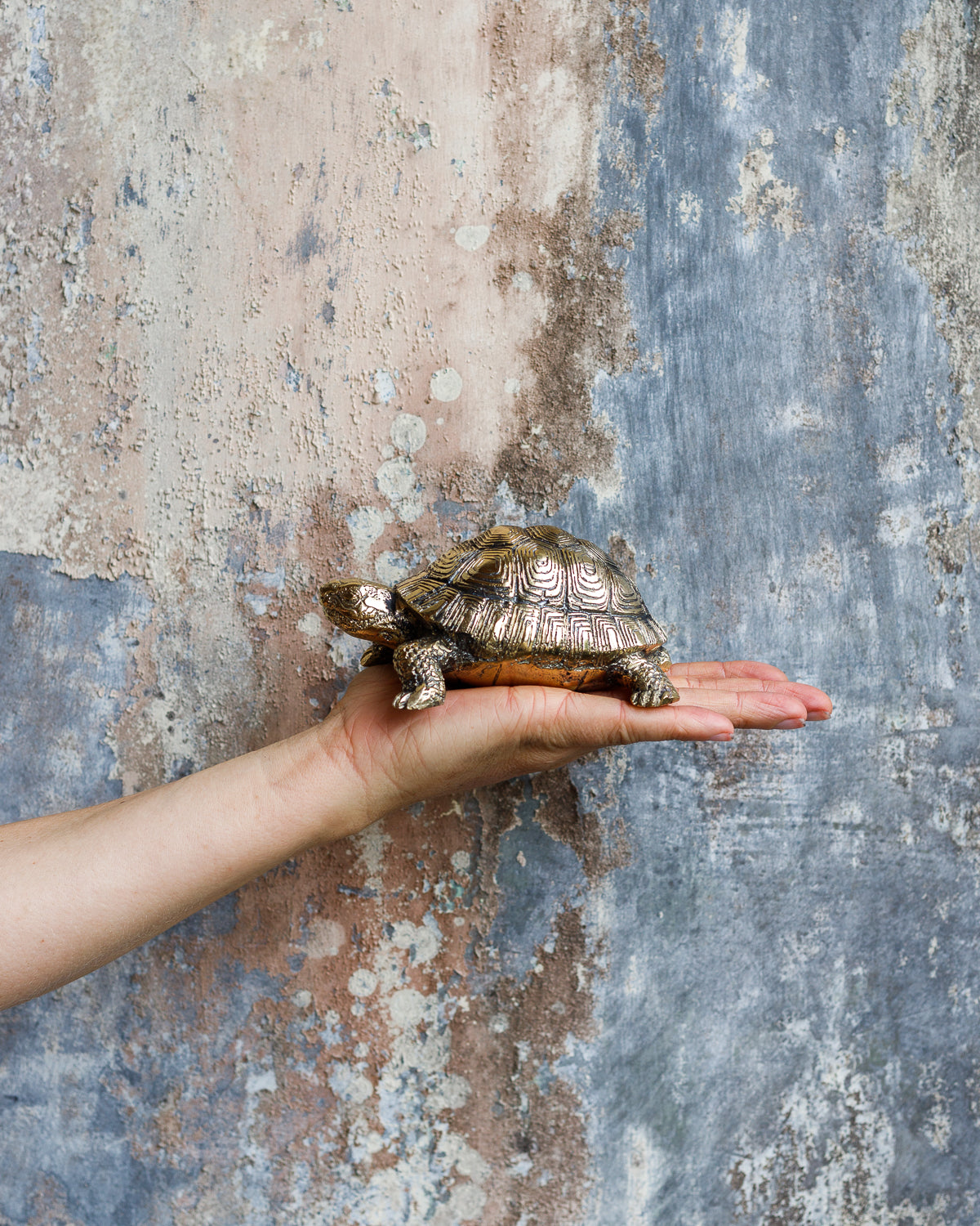 Messing Schildpad Beeld