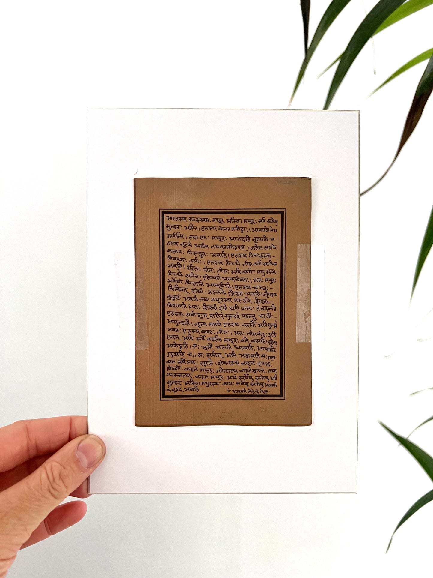 Poster India Goud Pauw