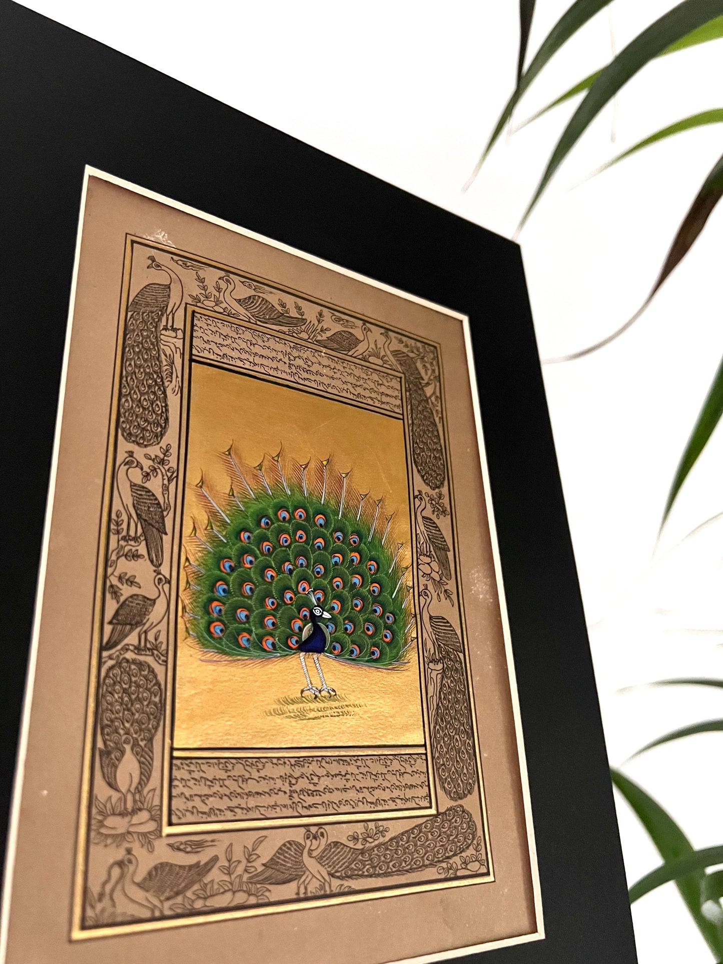 Poster India Goud Pauw XL