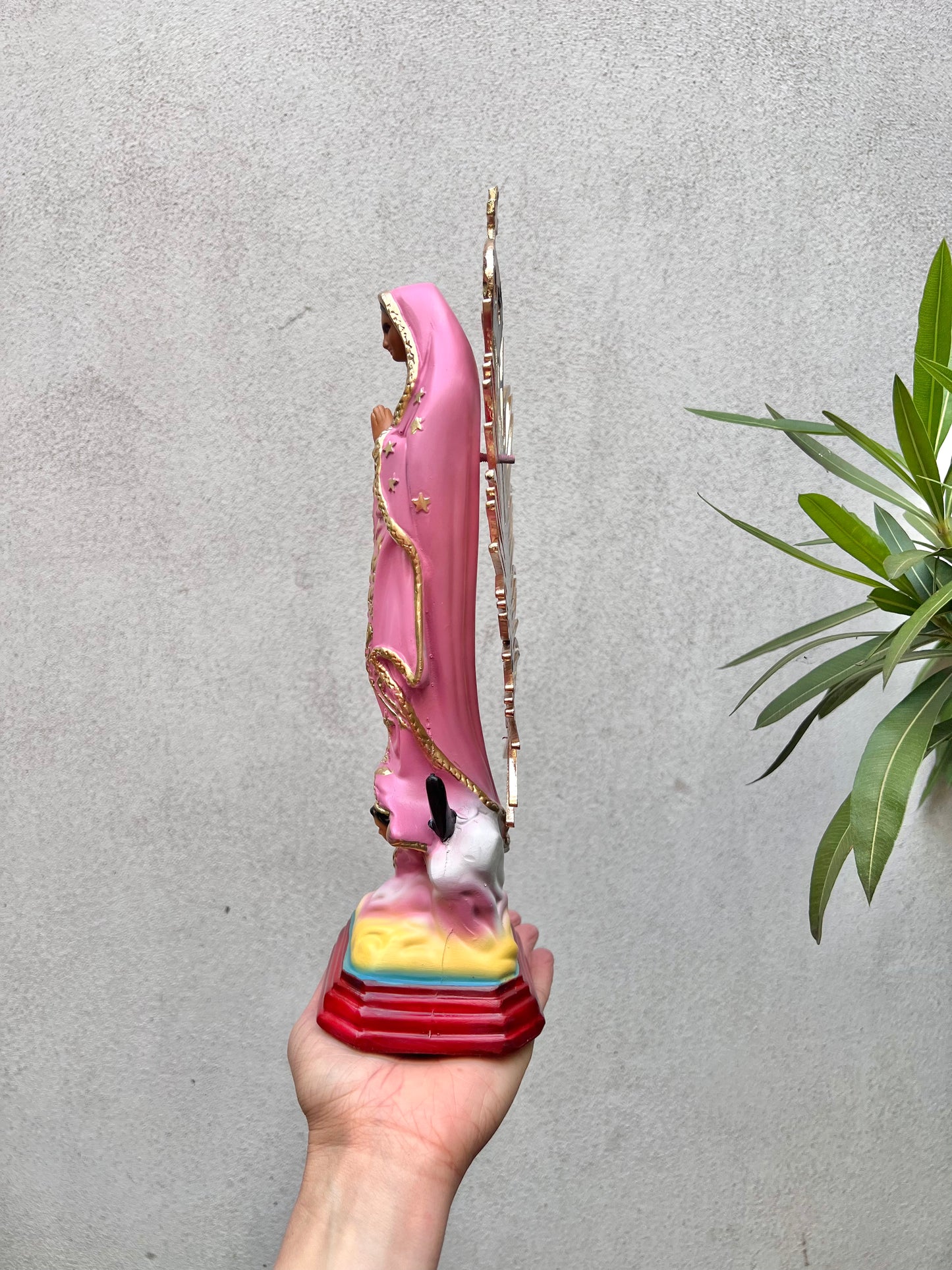 Guadeloupe Roze