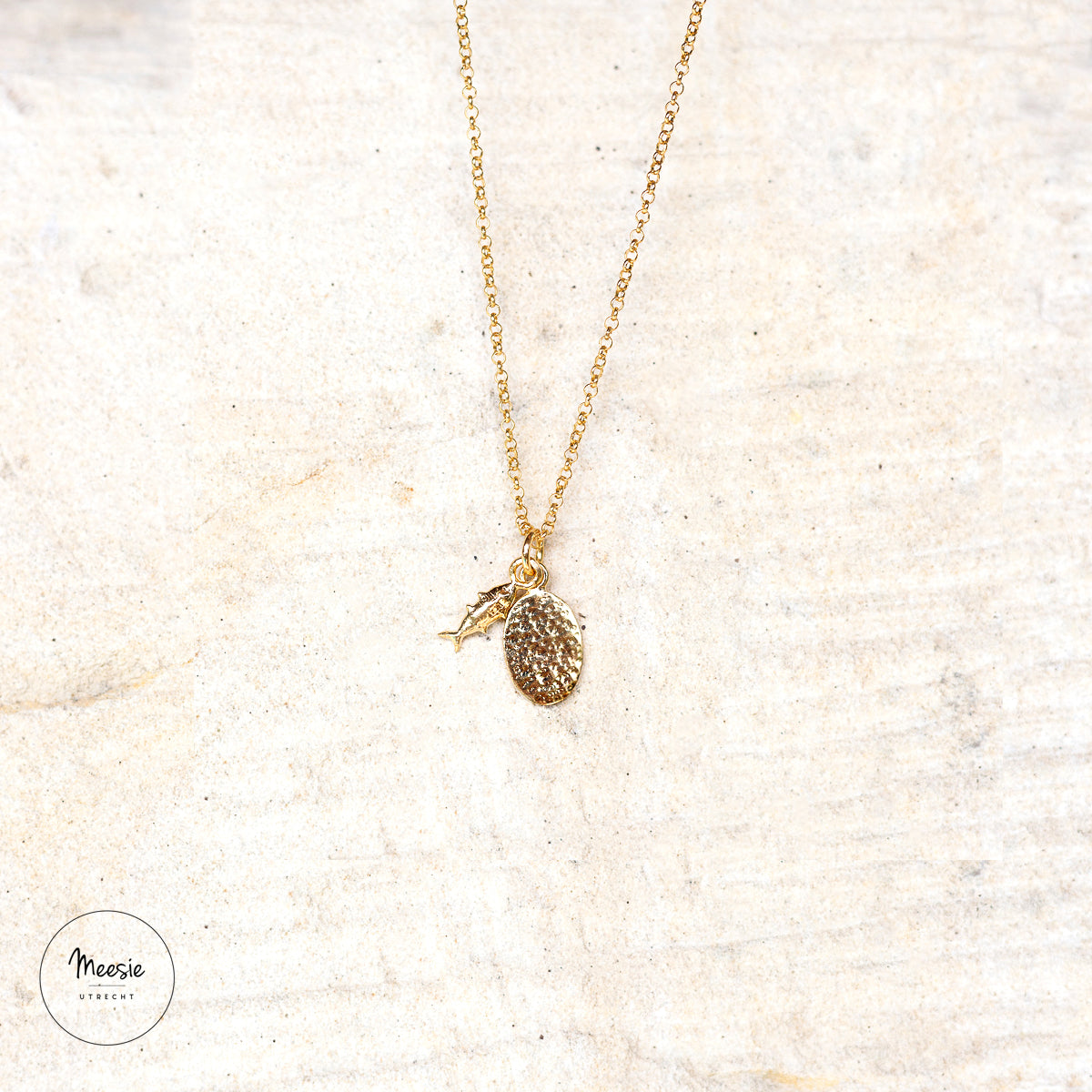 Ketting Vis