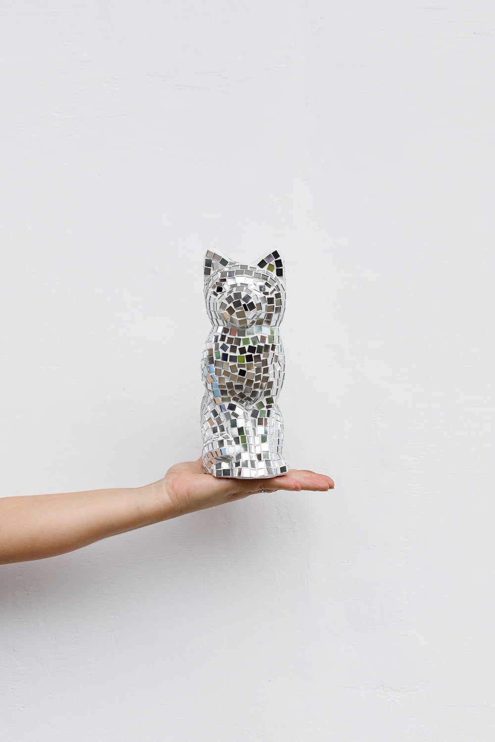 Disco Beeld Poes