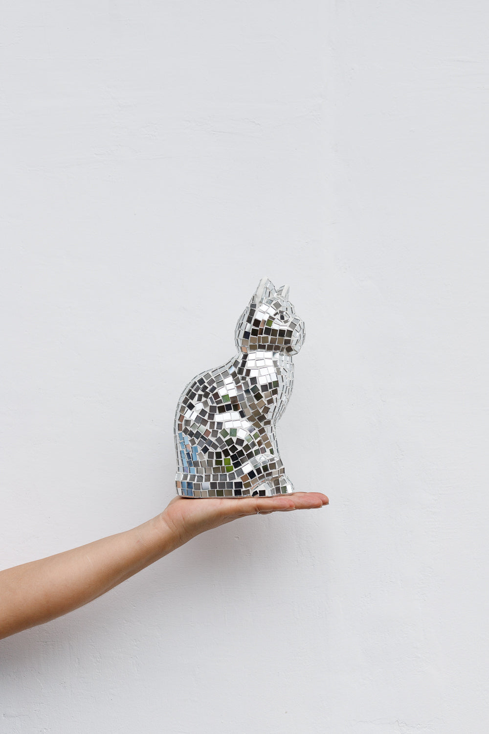 Disco Beeld Poes