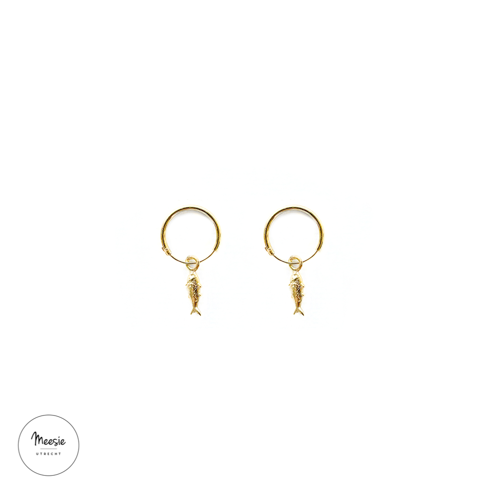 Ketting Vis