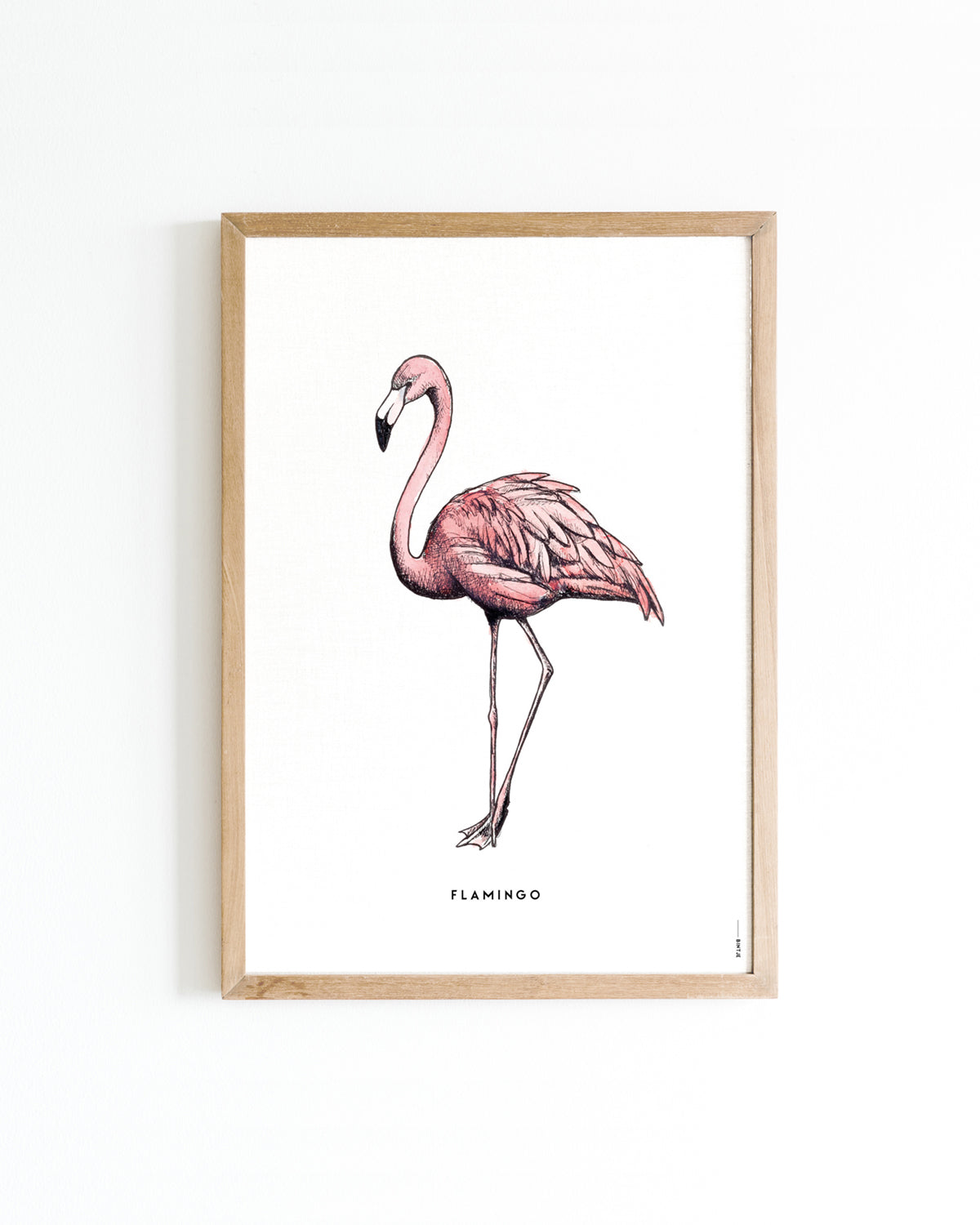 Poster Flamingo