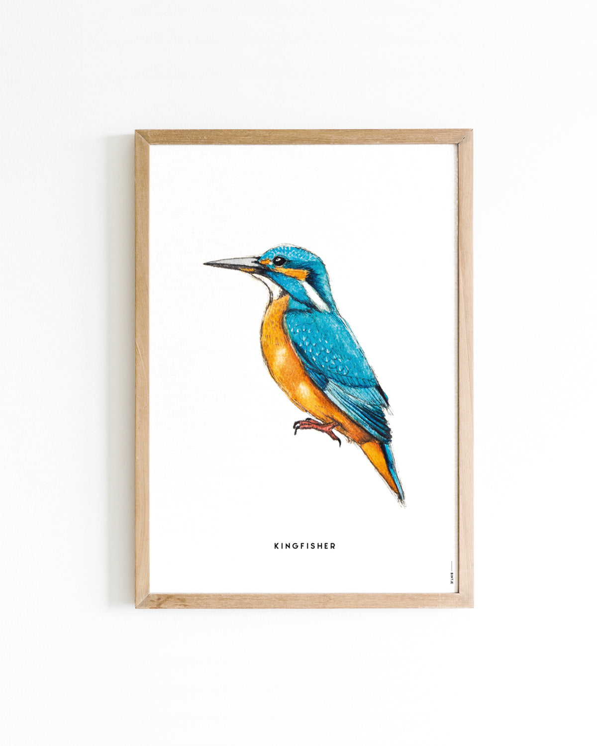 Poster IJsvogel A4