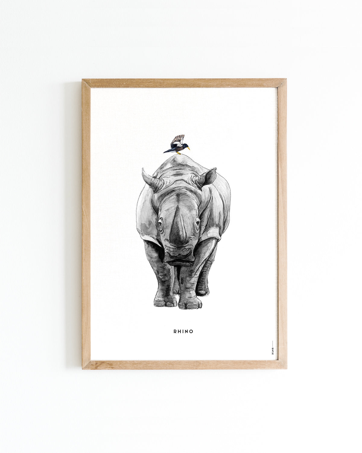 Poster Neushoorn