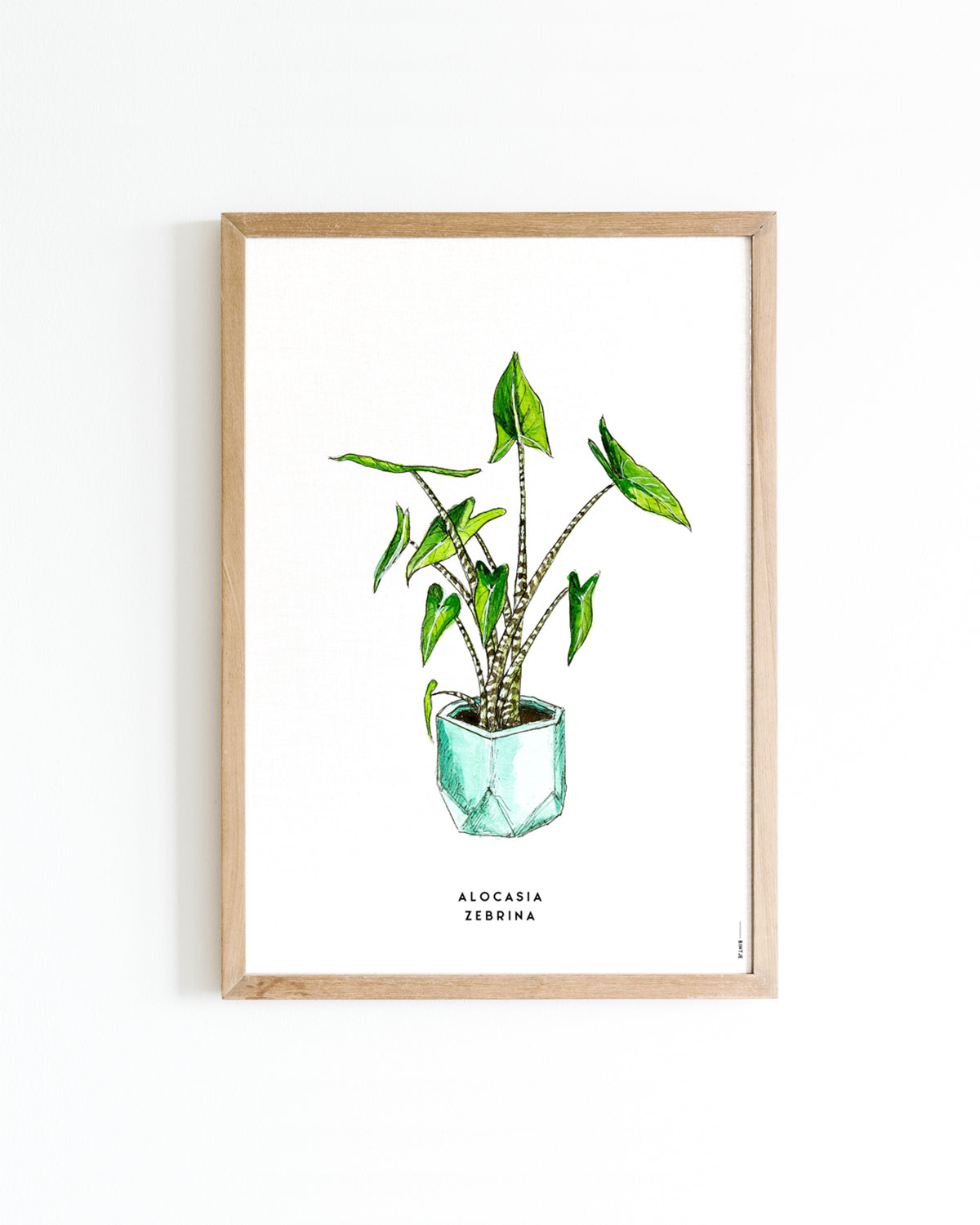 Poster Plant Alocasia A4