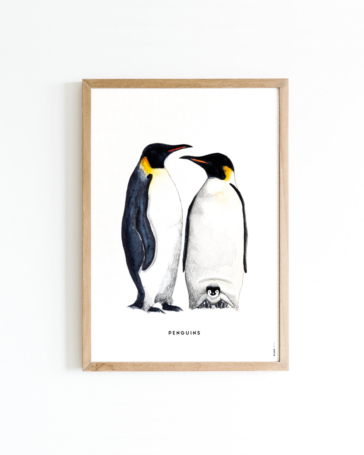 Poster Pinguins
