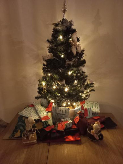 Advent Kalender van Meesie