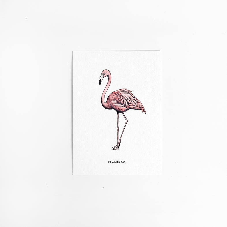 Kaart Flamingo