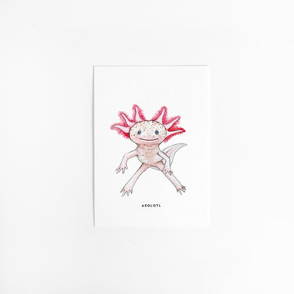 Kaart Axolotl