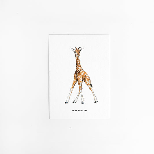 Kaart Baby Giraf