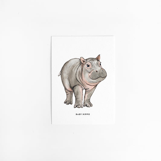 Kaart Baby Nijlpaard