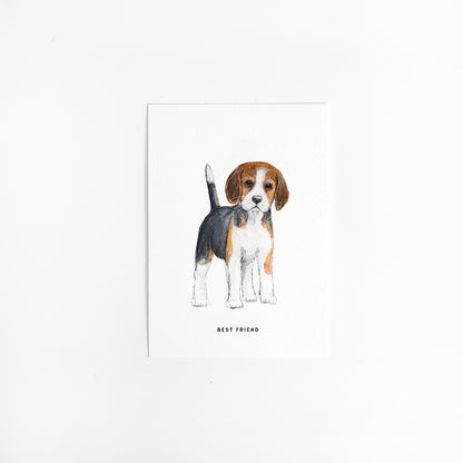 Kaart Beagle