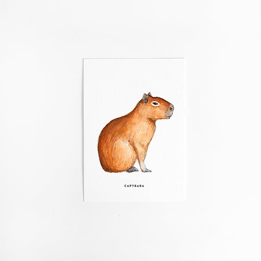 Kaart Capibara