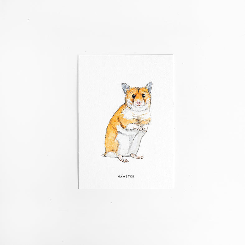 Kaart Hamster