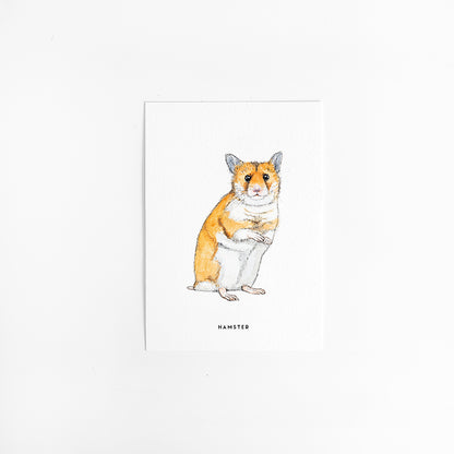Kaart Hamster