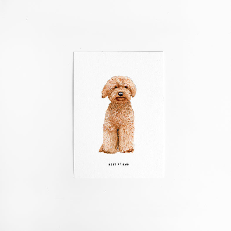 Kaart Labradoodle