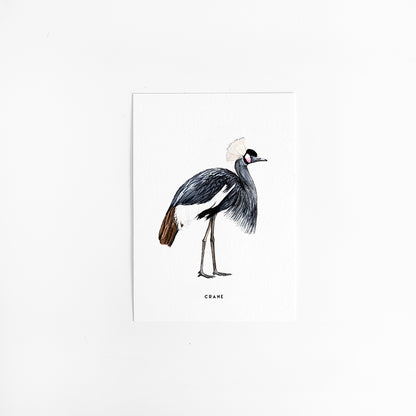 Kaart Kraanvogel