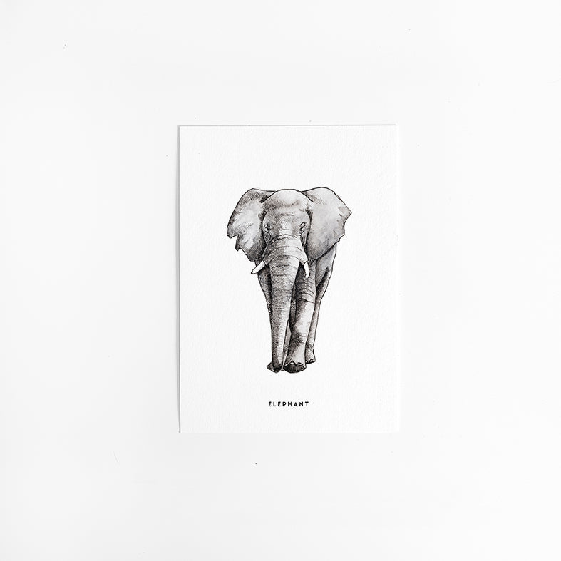 Kaart Olifant