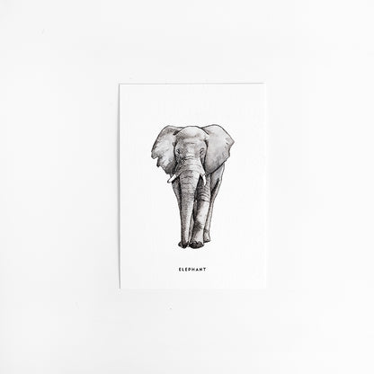Kaart Olifant