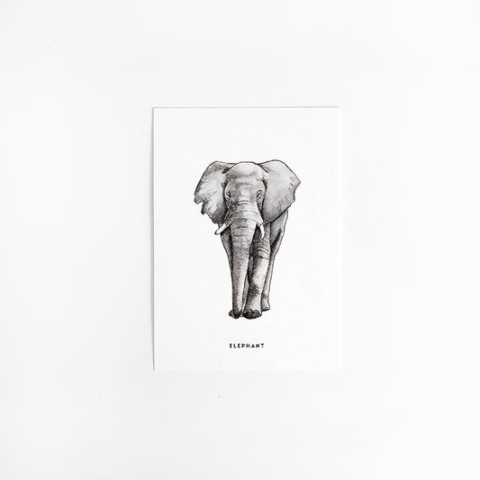 Kaart Olifant