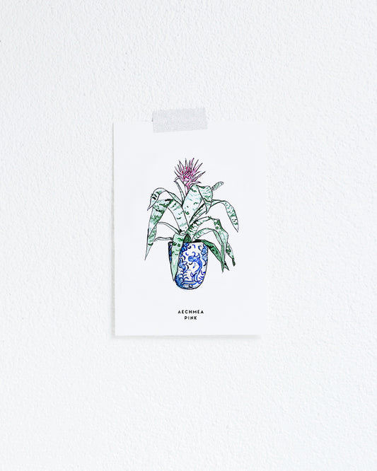 Kaart Plant Achmea Pink