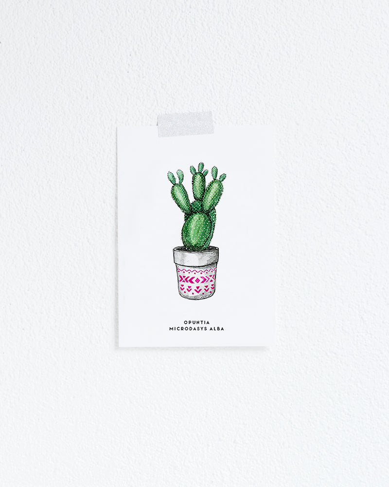 Kaart Plant Cactus