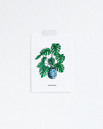 Kaart Plant Monstera