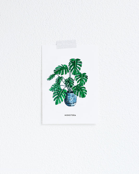 Kaart Plant Monstera
