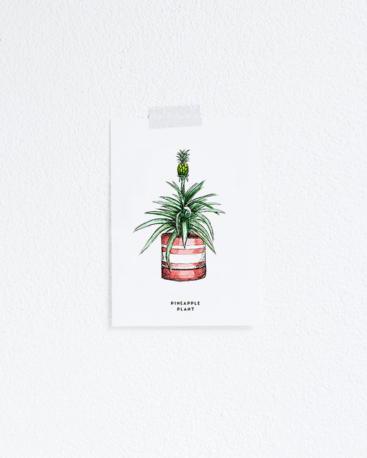 Kaart Plant Pineapple