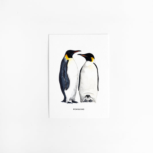 Kaart Pinguins