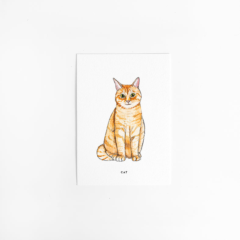 Kaart Poes