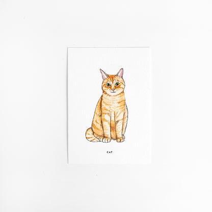 Kaart Poes