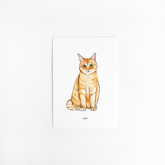 Kaart Poes