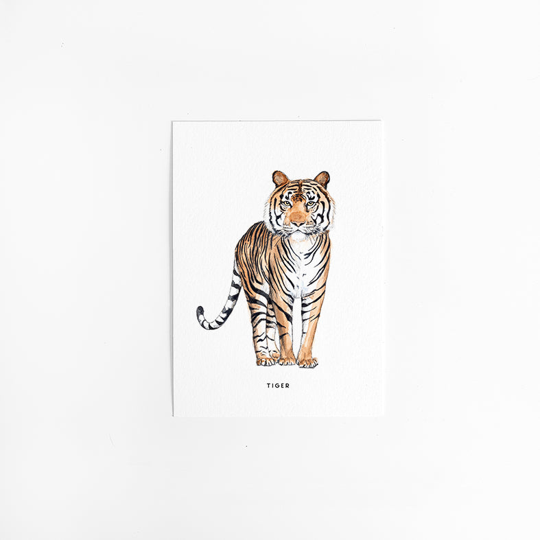 Kaart Tijger