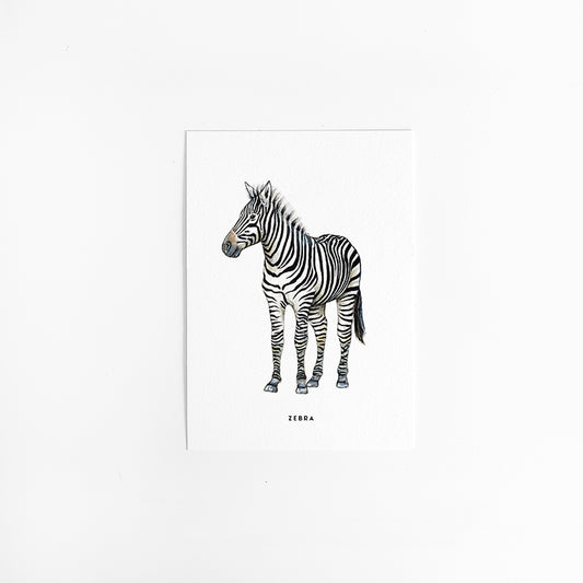 Kaart Zebra