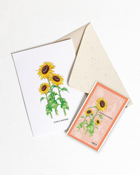 Kaart Zonnebloemen met zaadjes