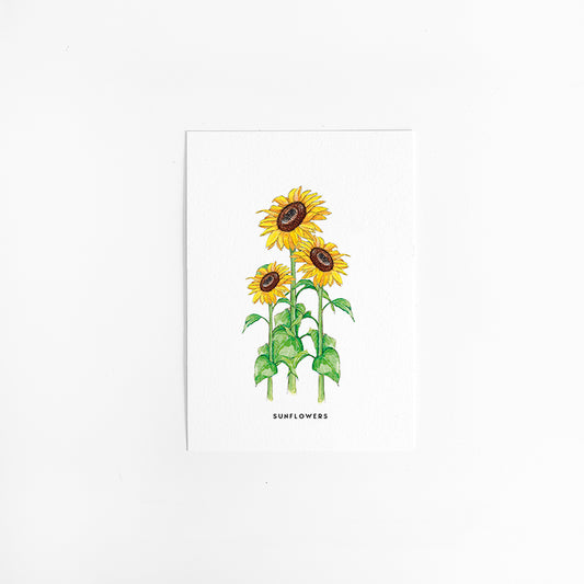 Kaart Zonnebloemen