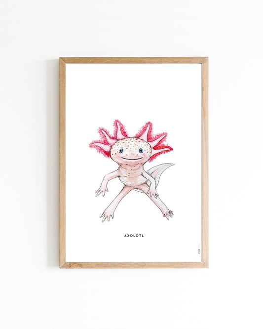 Poster Axolotl 15x20cm