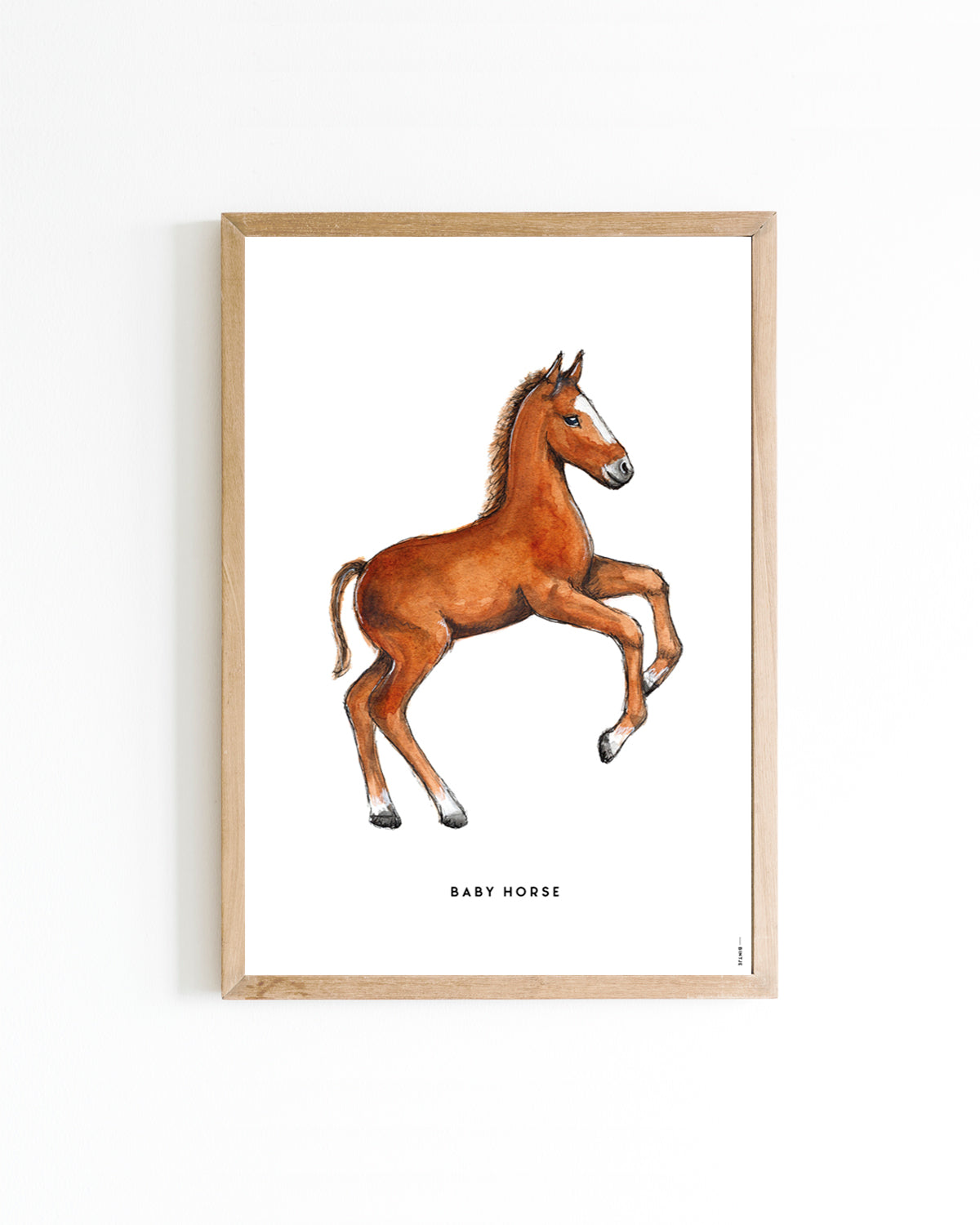 Poster Paard veulen 15x20cm