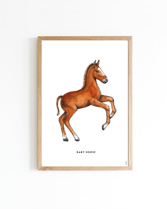 Poster Paard veulen 15x20cm