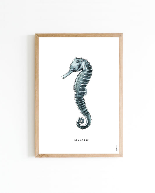 Poster Zeepaardje 15x20cm